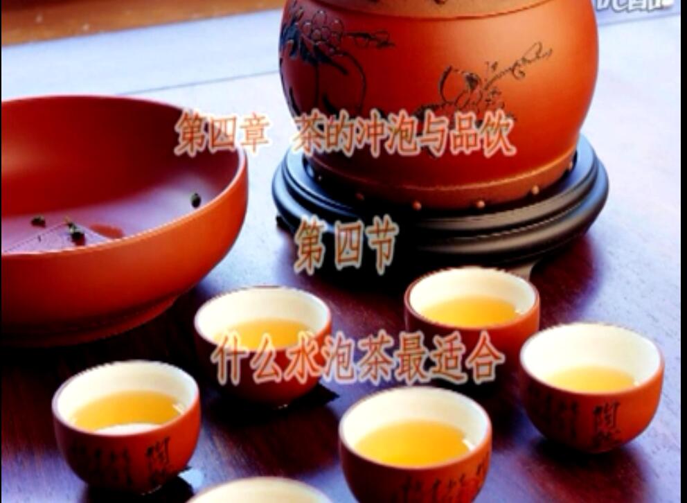茶道、茶文化修养与学识之节选课程