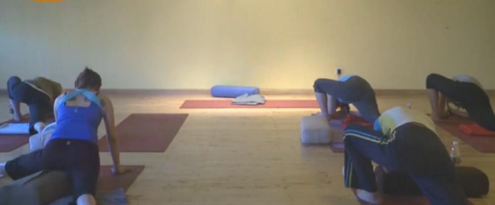阴瑜伽视频教程_阴瑜伽教学视频_阴瑜伽全部体式_阴瑜伽的25个体式图