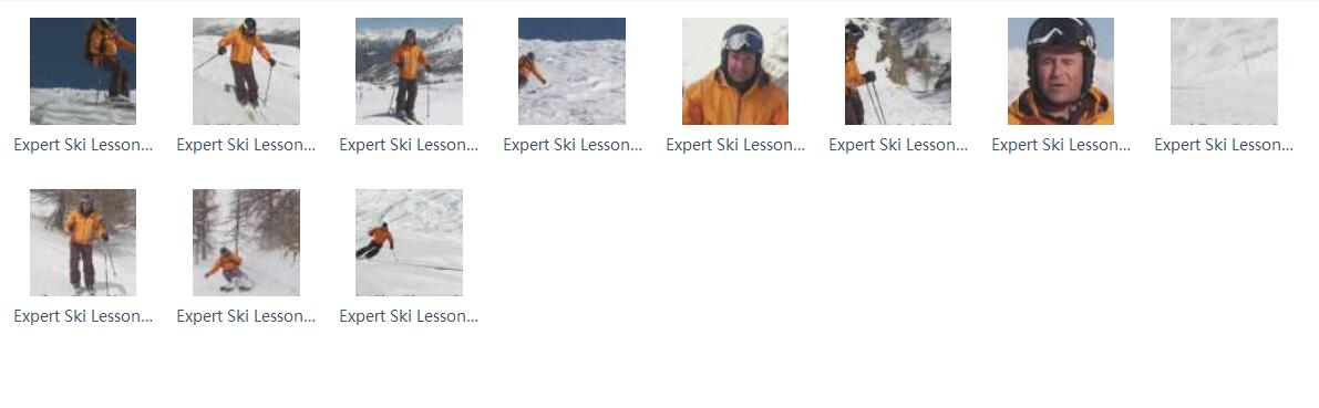 ski school 双板滑雪视频教程