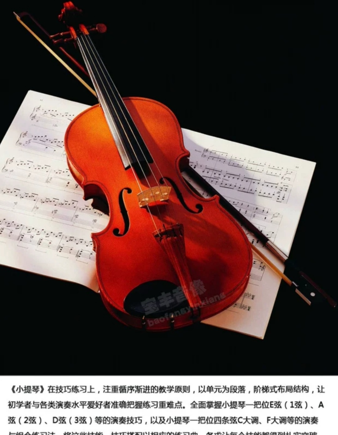 小提琴视频教程教学 自学零基础入门学习课程 音阶教程 铃木小提琴视频教程 儿童版 成人版教程 涵盖全面
